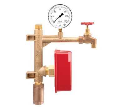 NFPL SR200-IR2 2" RESI-RISER W/ CHECK VALVE